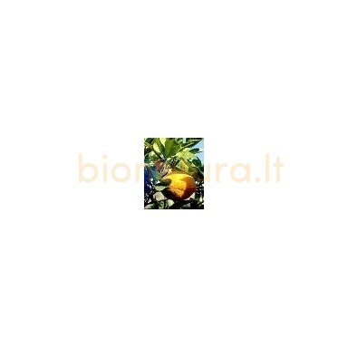 Apelsinų ekologiškas Eterinis Aliejus, 10ml Apelsinų ekologiškas Eterinis Aliejus, 10ml