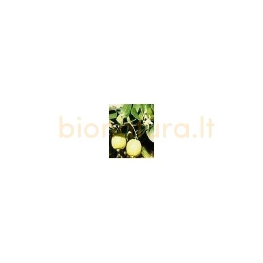 Bergamočių eterinis aliejus, 10ml Bergamočių eterinis aliejus, 10ml