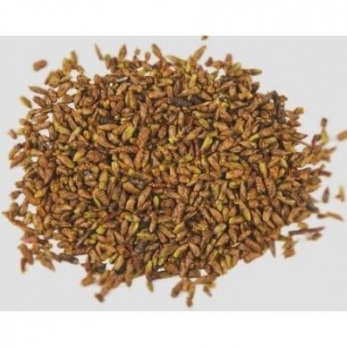 Beržų pumpurai, 50gr Beržų pumpurai, 50gr