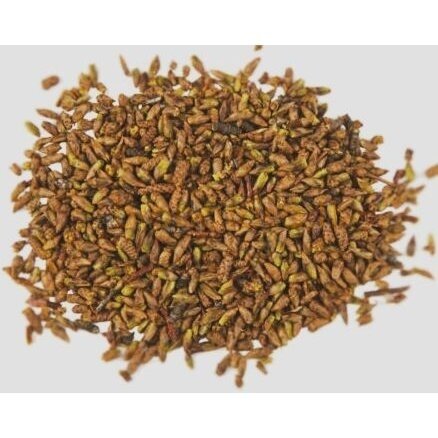 Beržų pumpurai, 50gr