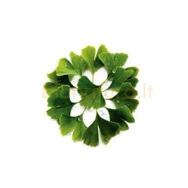 Ginkmedžio lapai džiovinti 50 gr. Ginkmedžio lapai džiovinti 50 gr.