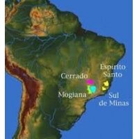 Brazil Sweet Single origin 1 kg Brazil Sweet Single origin 1 kg