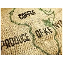 Kava KENYA AA PLUS, 250/1000 gr. Kava KENYA AA PLUS, 250/1000 gr.