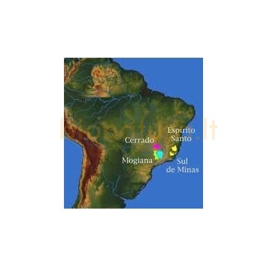 Brazil Sweet Single origin 1 kg Brazil Sweet Single origin 1 kg