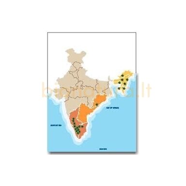 Kava INDIA PLANTATION AA, 250/1000 gr. Kava INDIA PLANTATION AA, 250/1000 gr.