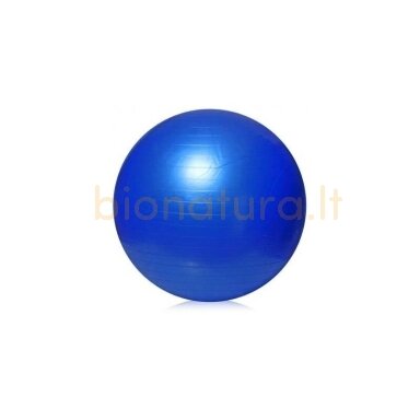 Mėlynas gimnastikos kamuolys su pompa 65 cm. L20075 Mėlynas gimnastikos kamuolys su pompa 65 cm. L20075