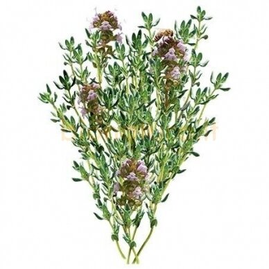 Raudonojo čiobrelio eterinis aliejus, 10 ml Raudonojo čiobrelio eterinis aliejus, 10 ml