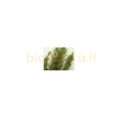 Rozmarinų eterinis aliejus, 5ml
