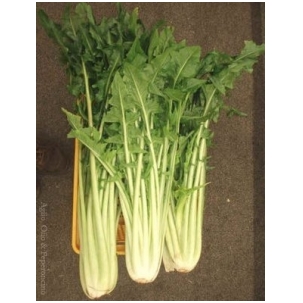 Skrudinta cikorija, 250 gr. 1 Skrudinta cikorija, 250 gr. 1